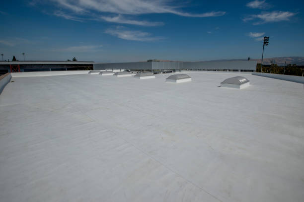 Best Roof Maintenance and Cleaning  in Maize, KS