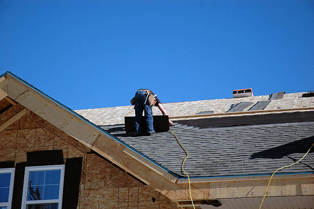 Best Chimney Flashing Repair  in Maize, KS